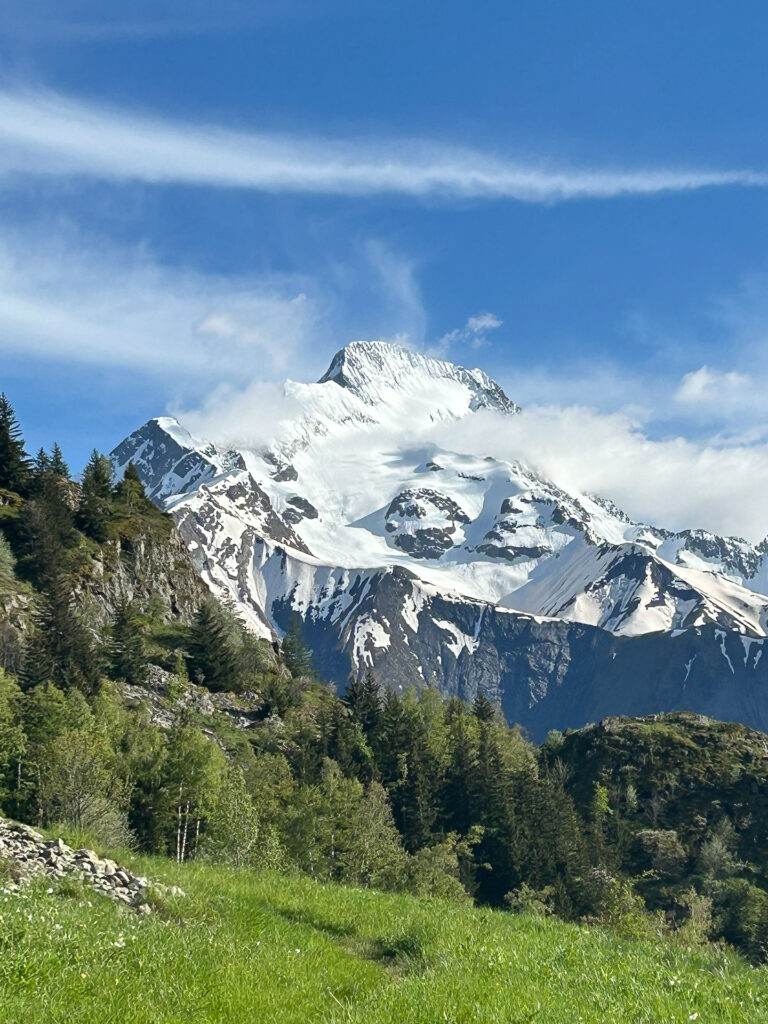 La Muzelle aux Deux Alpes